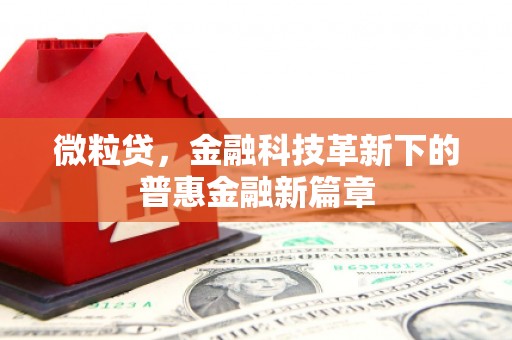 月湖微粒贷，金融科技革新下的普惠金融新篇章