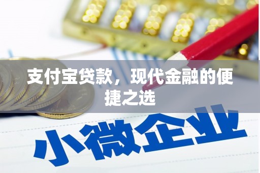 月湖支付宝贷款，现代金融的便捷之选