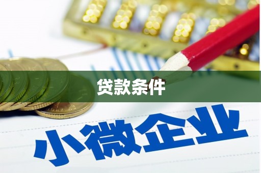 月湖贷款条件