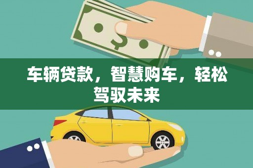 月湖车辆贷款，智慧购车，轻松驾驭未来