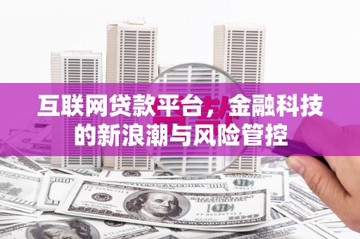 月湖互联网贷款平台，金融科技的新浪潮与风险管控