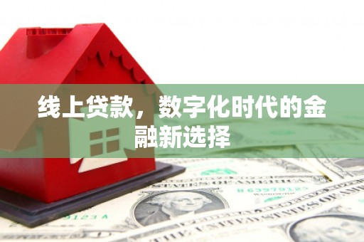 月湖线上贷款，数字化时代的金融新选择