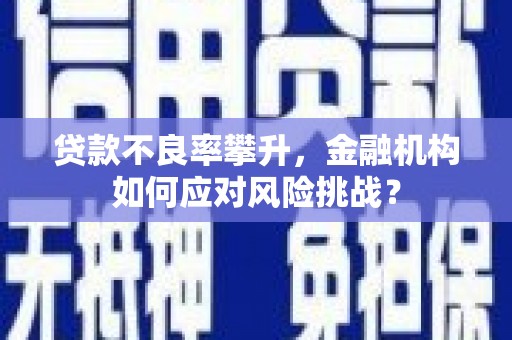 月湖贷款不良率攀升，金融机构如何应对风险挑战？