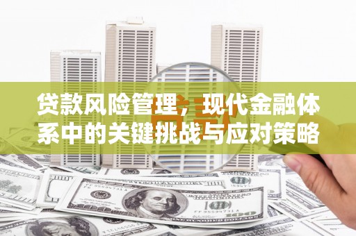 月湖贷款风险管理，现代金融体系中的关键挑战与应对策略