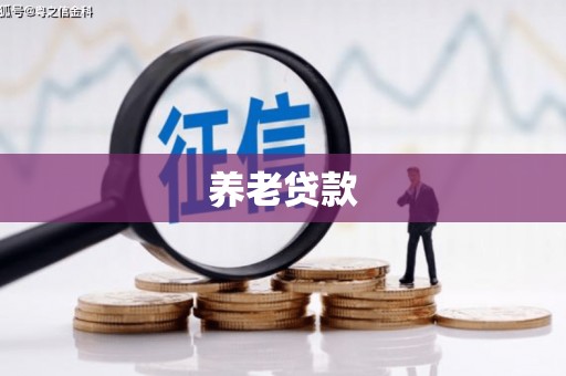 月湖养老贷款