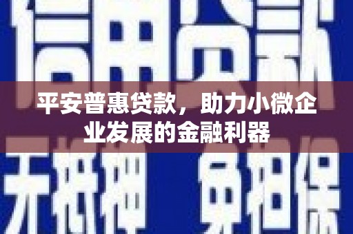 月湖平安普惠贷款，助力小微企业发展的金融利器