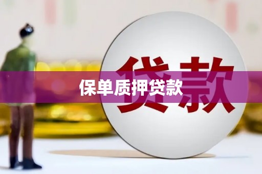 月湖保单质押贷款