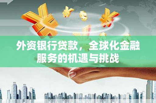 月湖外资银行贷款，全球化金融服务的机遇与挑战