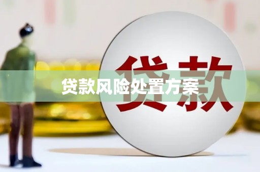 月湖贷款风险处置方案