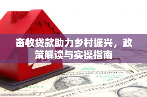 月湖畜牧贷款助力乡村振兴，政策解读与实操指南