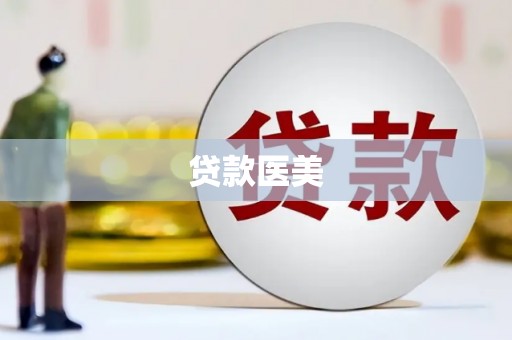 月湖贷款医美