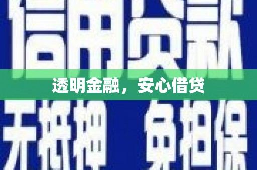 月湖透明金融，安心借贷