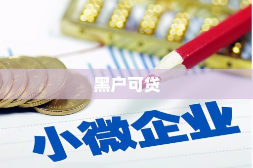 月湖黑户可贷