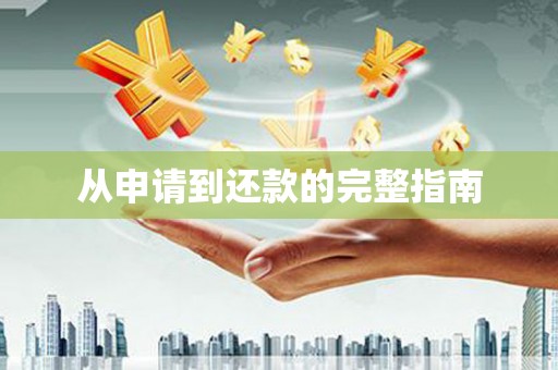 月湖从申请到还款的完整指南