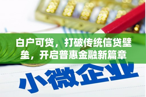 月湖白户可贷，打破传统信贷壁垒，开启普惠金融新篇章