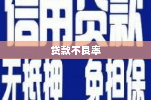 月湖贷款不良率