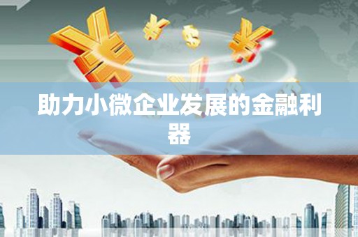 月湖助力小微企业发展的金融利器