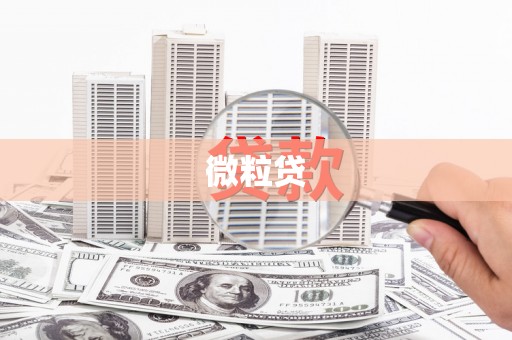 月湖微粒贷