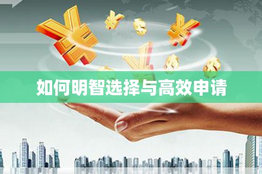 月湖如何明智选择与高效申请