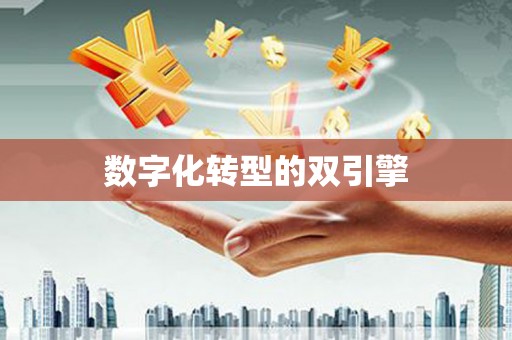 月湖数字化转型的双引擎