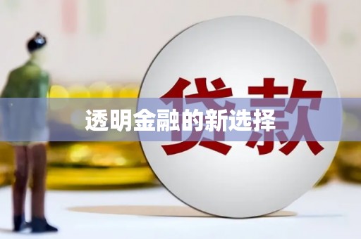 月湖透明金融的新选择