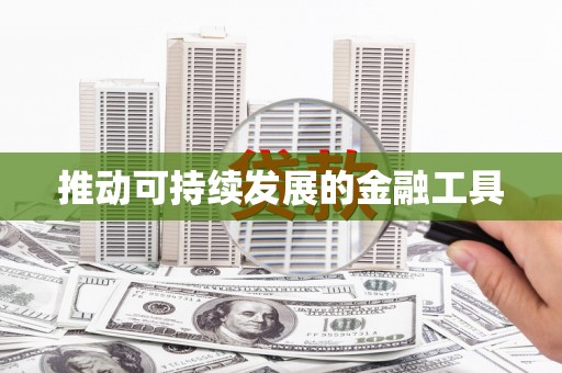 月湖推动可持续发展的金融工具