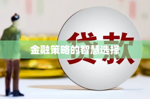 月湖金融策略的智慧选择