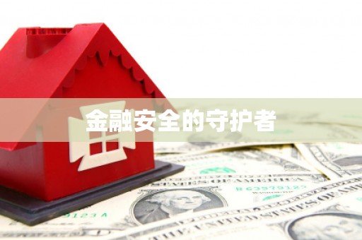 月湖金融安全的守护者