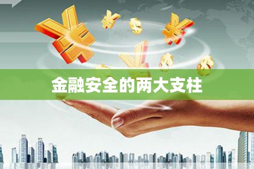 月湖金融安全的两大支柱