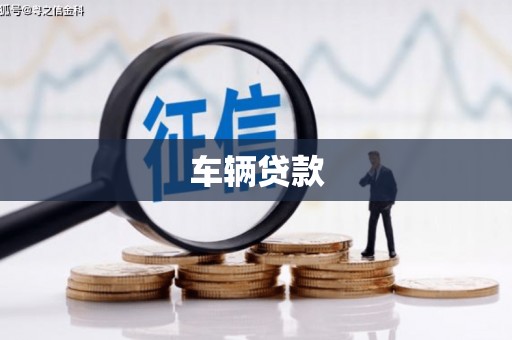 月湖车辆贷款