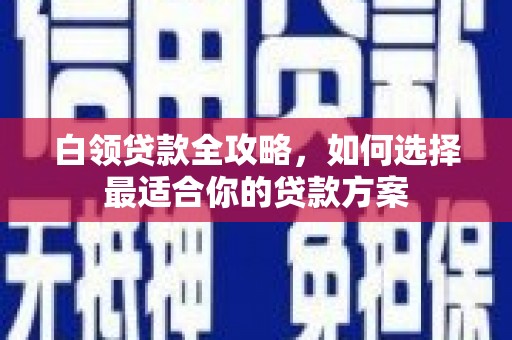 月湖白领贷款全攻略，如何选择最适合你的贷款方案